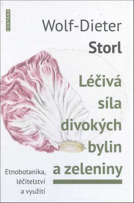 Léčivá síla divokých bylin a zeleniny