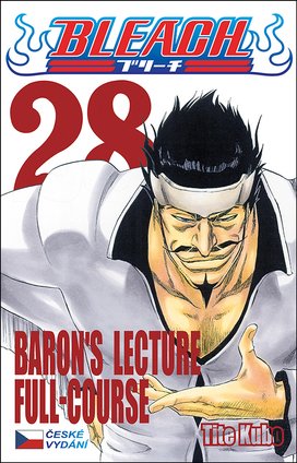 Bleach 28