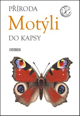 Motýli