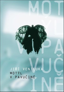 Motýl v pavučině