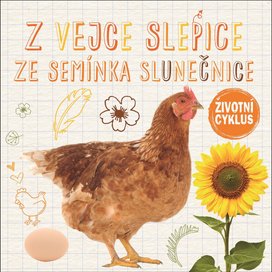 Z vejce slepice Ze semínka slunečnice