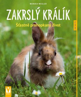 Zakrslý králík