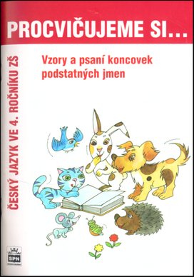Procvičujeme si Vzory a psaní koncovek podstatných jmen