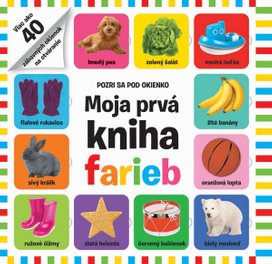 Moja prvá kniha farieb