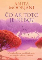 Čo ak toto je nebo?