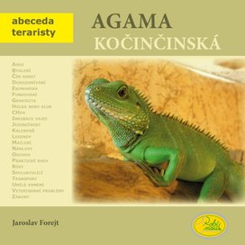 Agama kočičinská