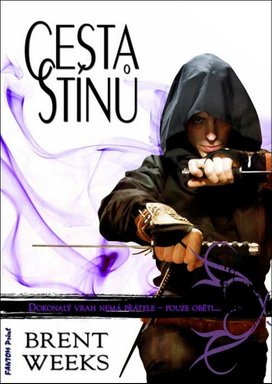 Cesta stínů