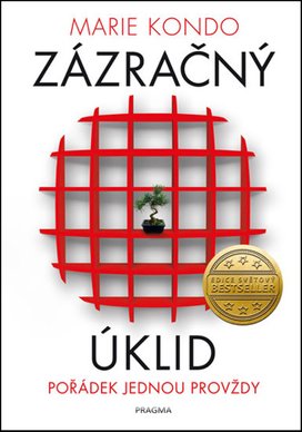 Zázračný úklid