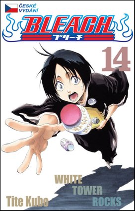 Bleach 14