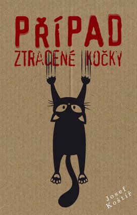 Případ ztracené kočky