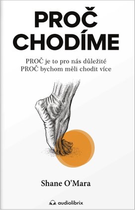 Proč chodíme