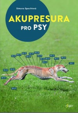 Akupresura pro psy