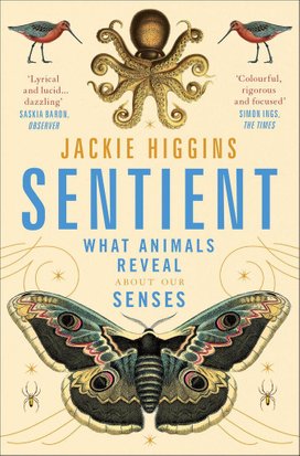 Sentient