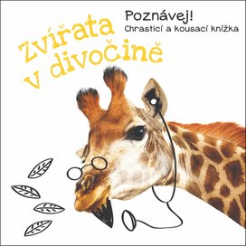 Zvířata v divočině