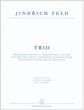 Trio pro housle (flétnu), violoncello a klavír