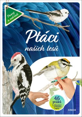 Ptáci našich lesů