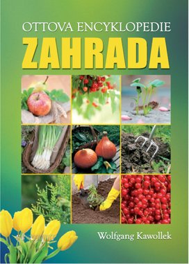 Zahrada
