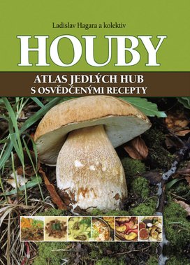 Houby