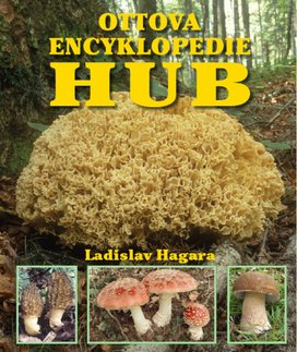 Ottova encyklopedie hub