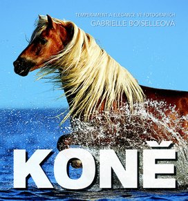 Koně