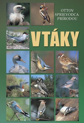 Vtáky Ottov sprievodca prírodou