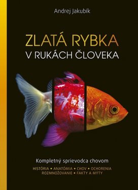Zlatá rybka v rukách človeka