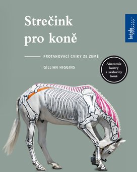 Strečink pro koně