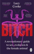Bitch