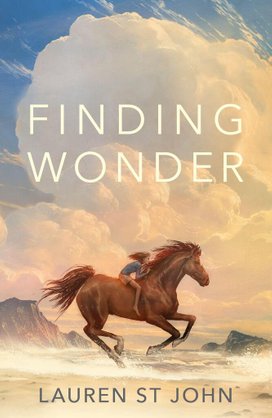 Finding Wonder