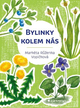Bylinky kolem nás