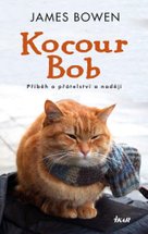 Kocour Bob