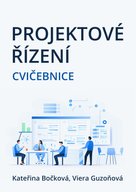 Projektové řízení