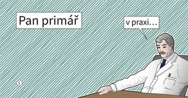 Pan Primář v praxi ...