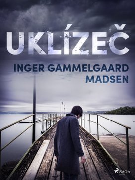 Uklízeč - komplet