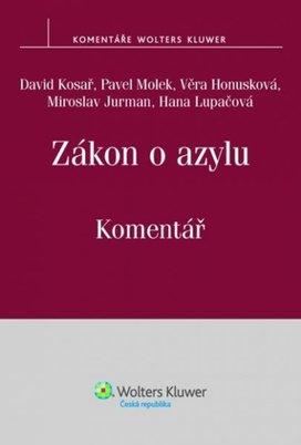 Zákon o azylu, Komentář