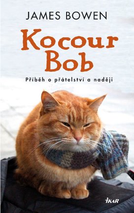 Kocour Bob