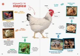 Poznáváme život na farmě