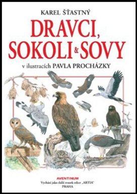 Dravci, sokoli a sovy
