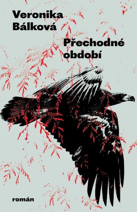 Přechodné období