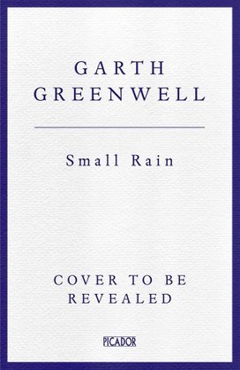 Small Rain