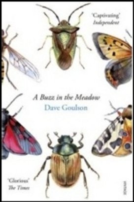 A Buzz in the Meadow