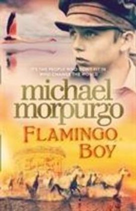 Flamingo Boy