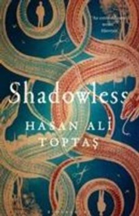 Shadowless