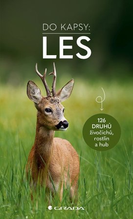 Do kapsy Les