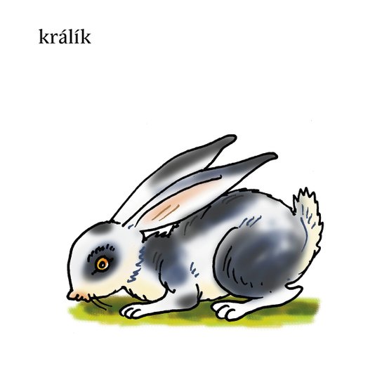 Moje první slova – ZVÍŘÁTKA 