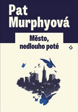 Město, nedlouho poté