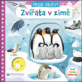 První objevy Zvířata v zimě