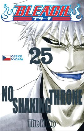Bleach 25