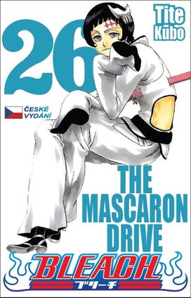 Bleach 26