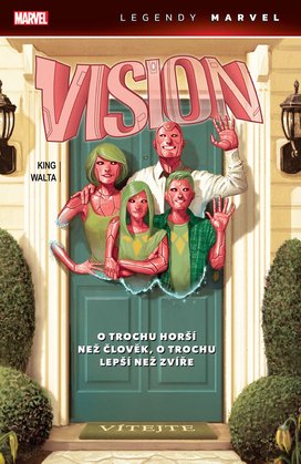 Vision